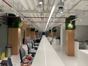 Commercial Projects
